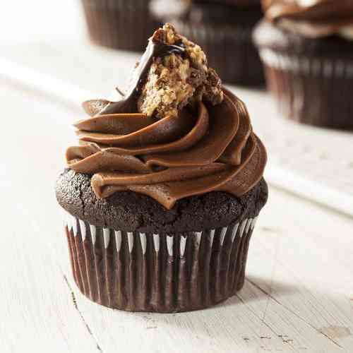 chocolatecupcakes